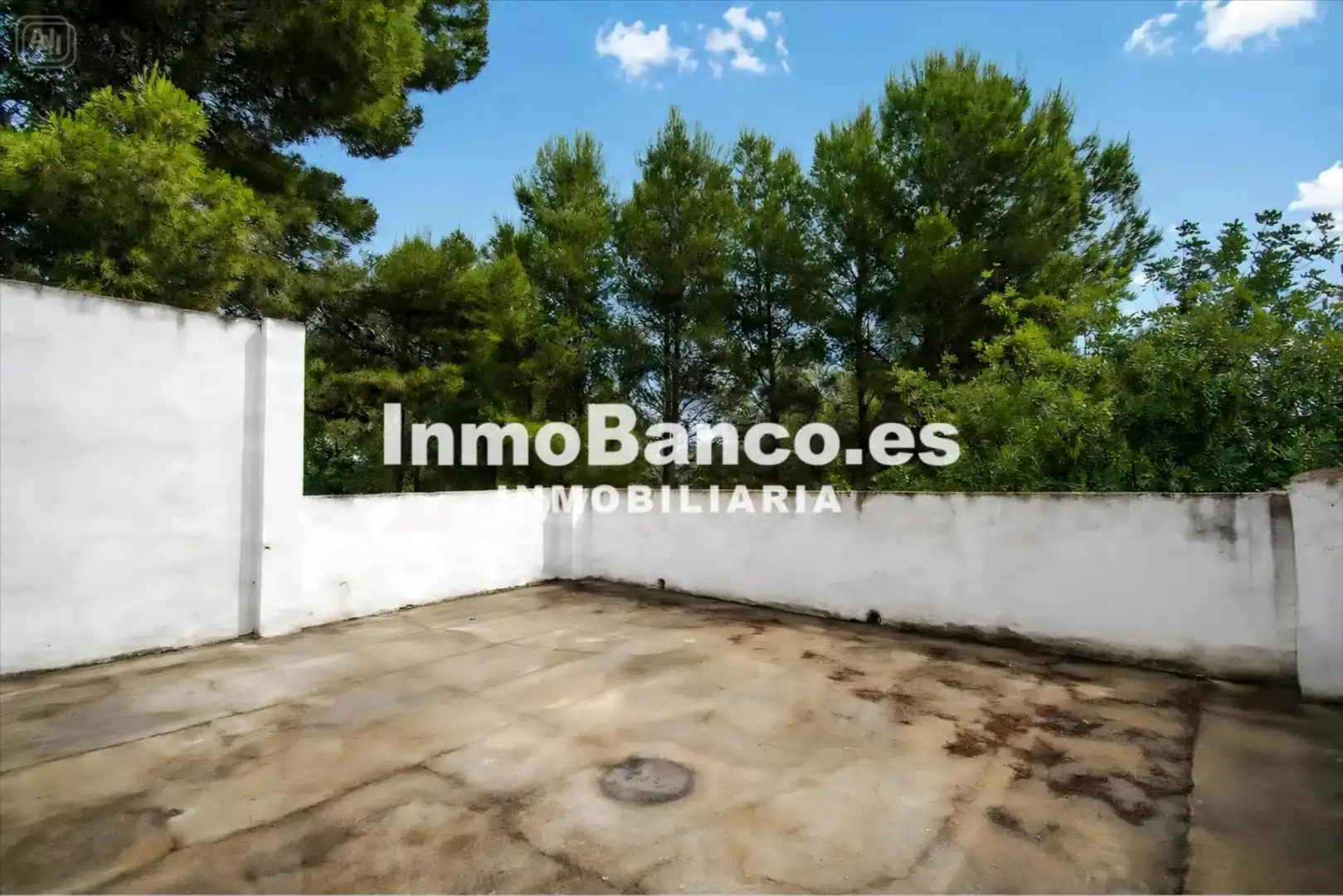 Vista exterior de Casa o chalet en venta en Chiva