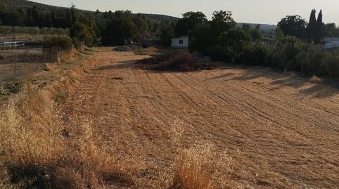 PARCELA RUSTICA MUY CERCA DE CABRA, immagine 2