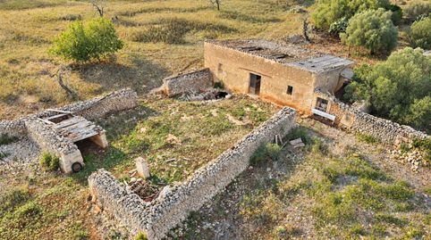 FINCA SON SIURANA, ARIANY ?EUR? 20,7 HECTÁREAS DE MALLORCA AUTÉNTICA Hay lugares en Mallorca donde el tiempo pasa más despacio. So, immagine 5