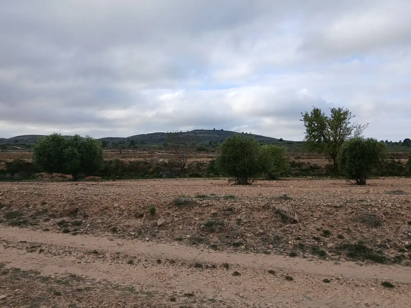 Residential land for sale in Yecla, imagen 8