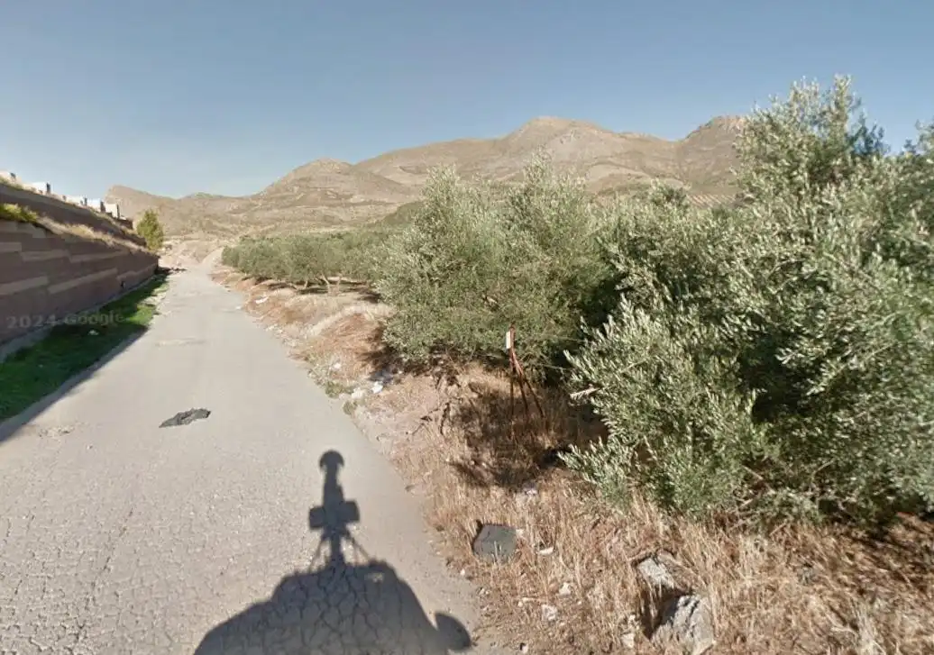 Rural land for sale in Atarfe, imagen 2