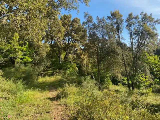 Terreni e lotti in vendita a Fuenteheridos, imagen 7