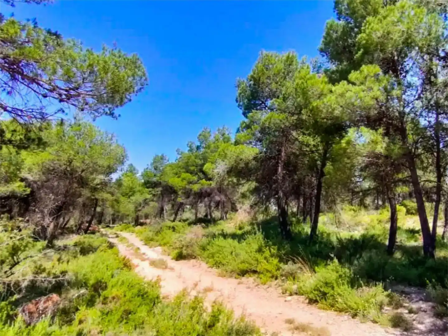 Wohnung zur Miete in Alcoy / Alcoi mit Klimaanlage, Privatgarten und Schwimmbad