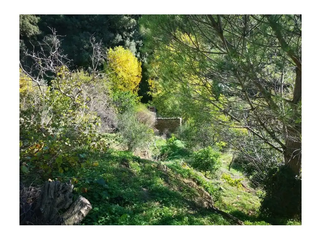 Jardí de Casa o xalet en venda en Genalguacil