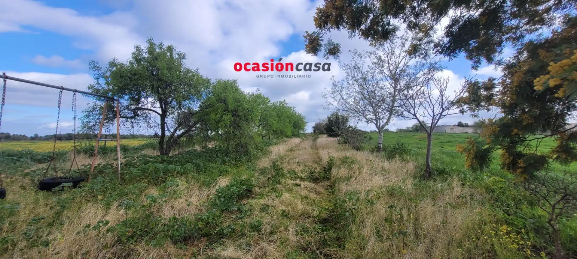 Houses for sale in El Viso