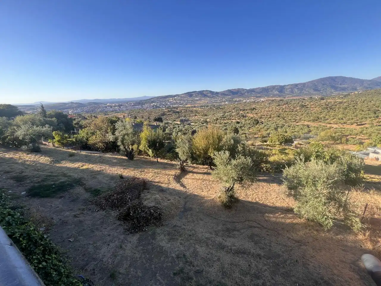 Houses for sale in Zona Sur - Av. de España - San Miguel
