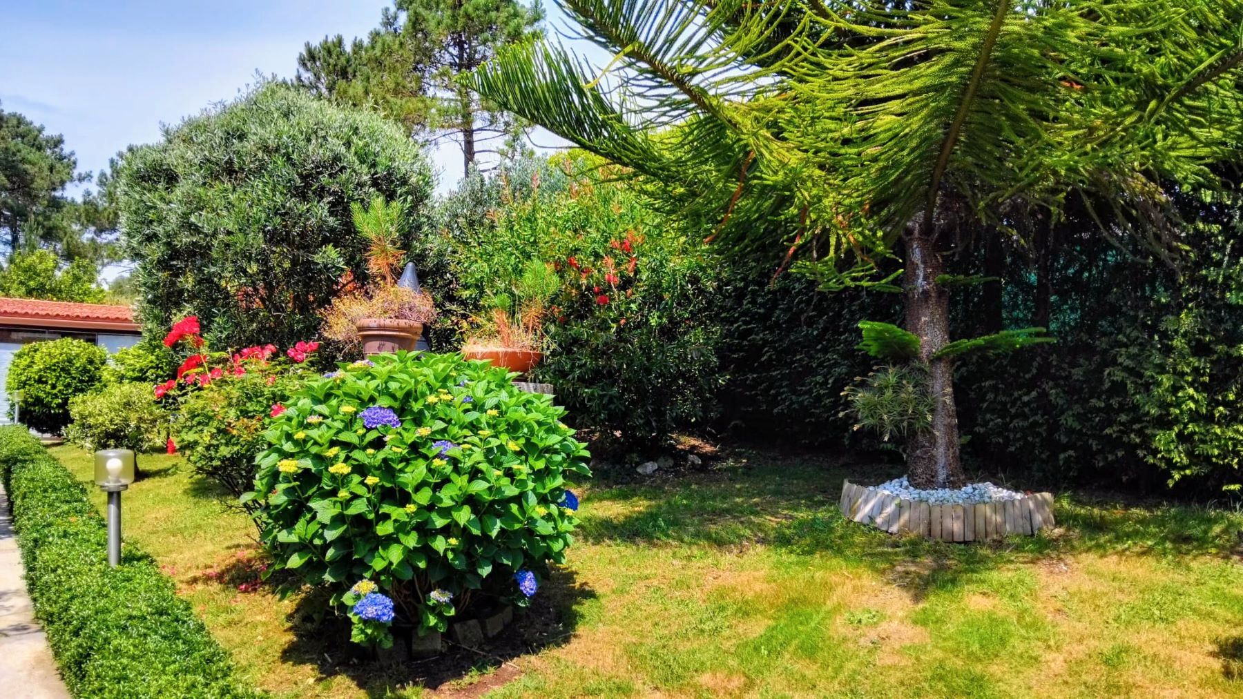 Jardí de Casa o xalet en venda en Ribeira amb Moblat