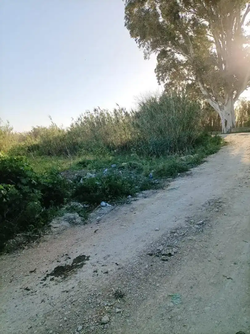 Finca rústica en venda en Barbate