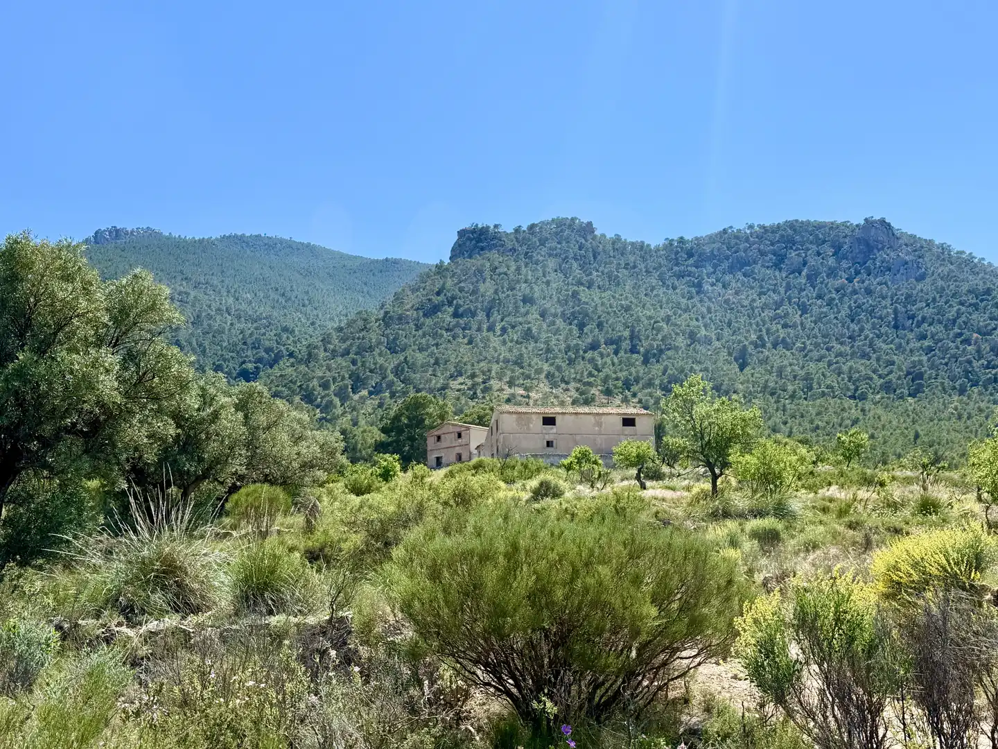 Terrain rustique à vendre à Cieza