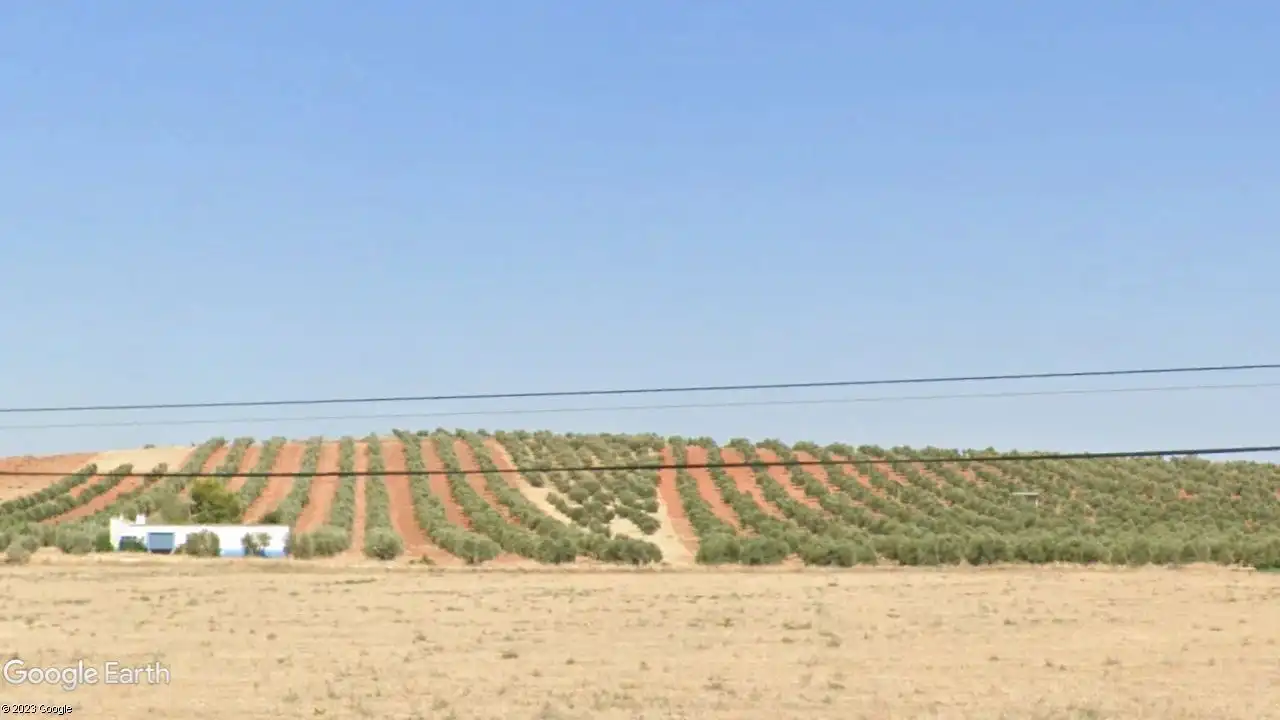 Rural land for sale in Valdepeñas