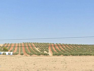 Rustikales Grundstück zum Verkauf in Valdepeñas