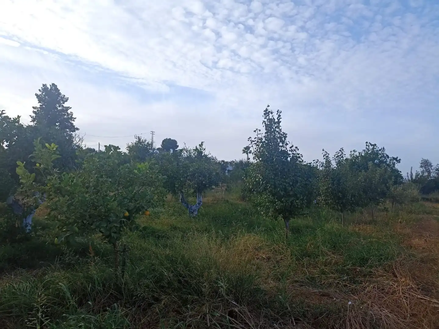 Residencial en venta en Alhaurín de la Torre