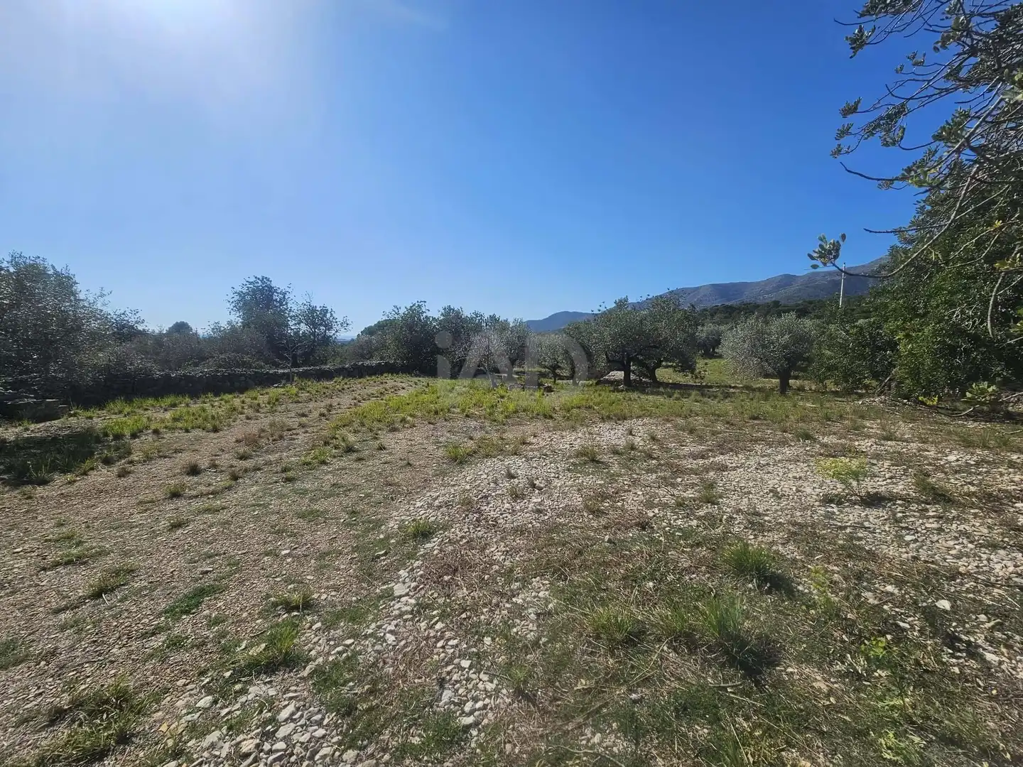 Terreno en venta en La Ràpita