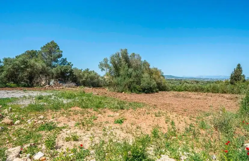 Country homes for sale in Manacor Centre