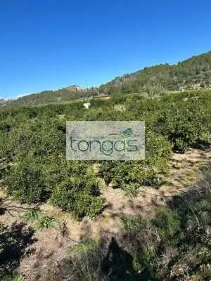 Terreny rústic en venda a Llanera de Ranes, imagen 8