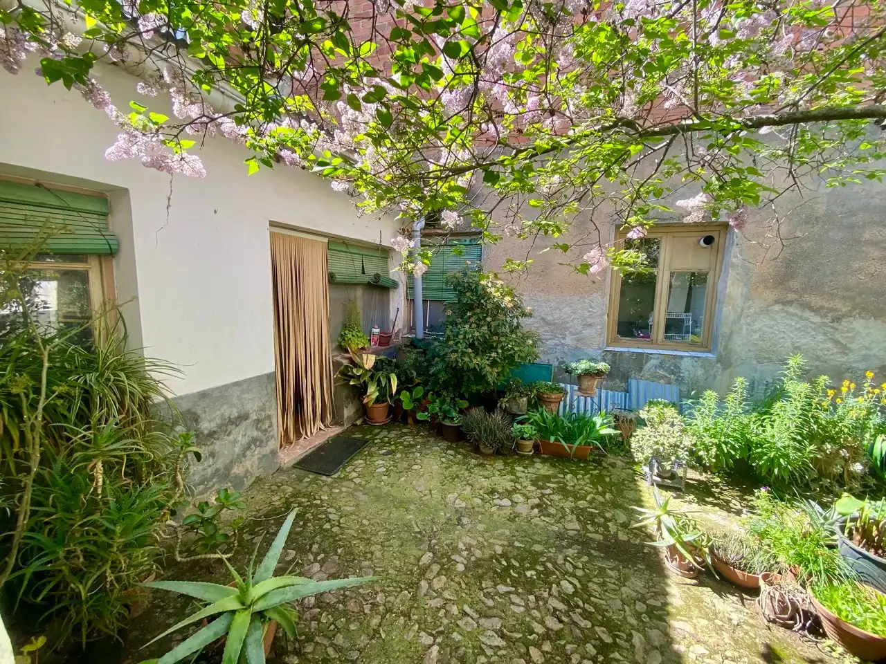 House with garden for sale in Calle Padre López