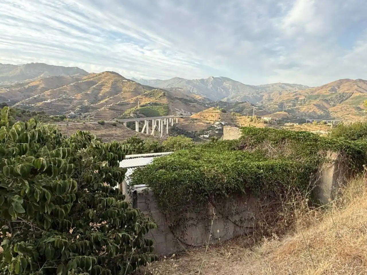 Vista exterior de Finca rústica en venta en Almuñécar con Jardín privado y Terraza
