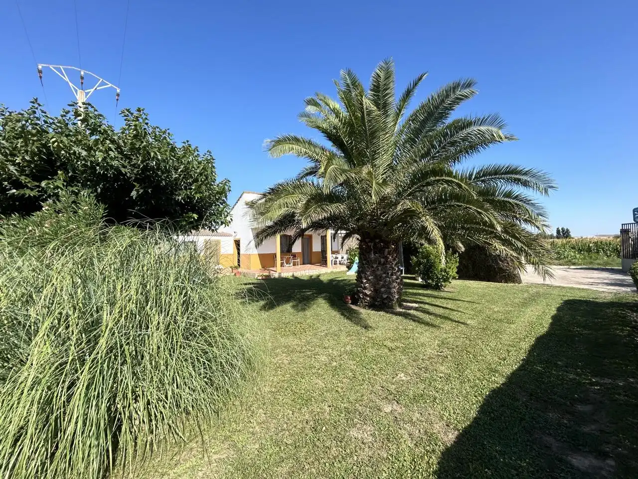 Finca rústica en venta en Galoche, Azucarera