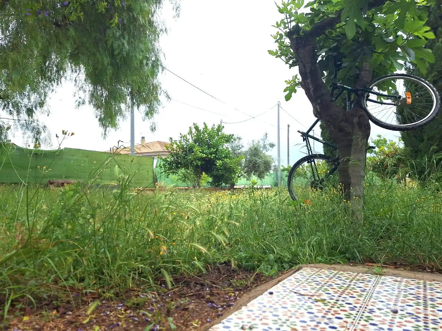 Country homes for sale in Sangonera la Seca