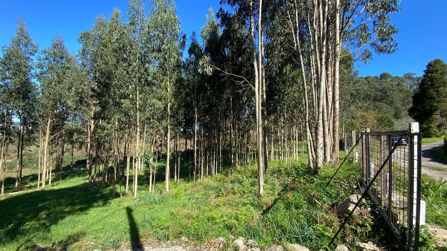 Terreni e lotti in vendita a Rúa Camiño dos Muiños 18, imagen 4