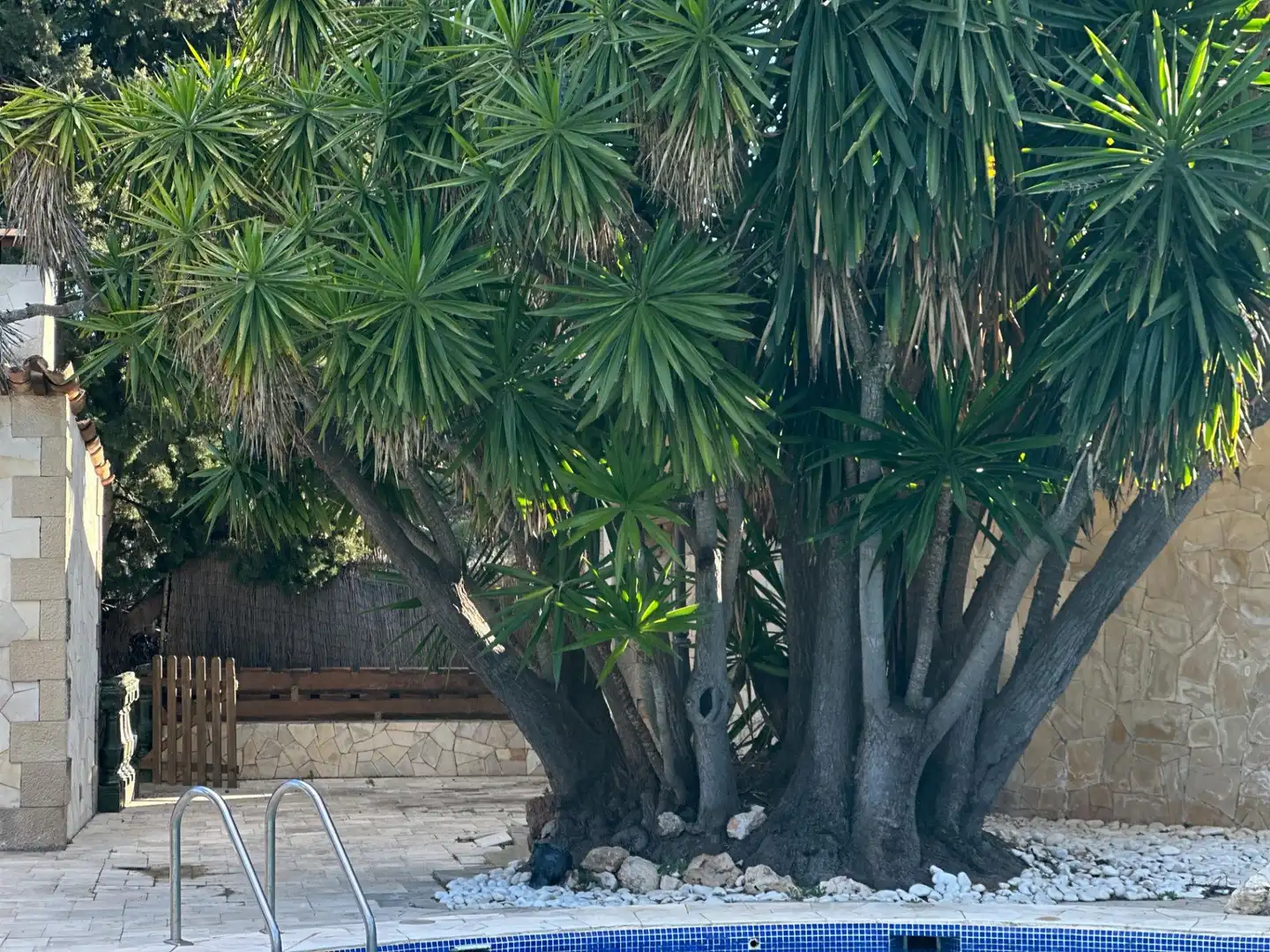Casa o chalet en venta en Castellví de Rosanes