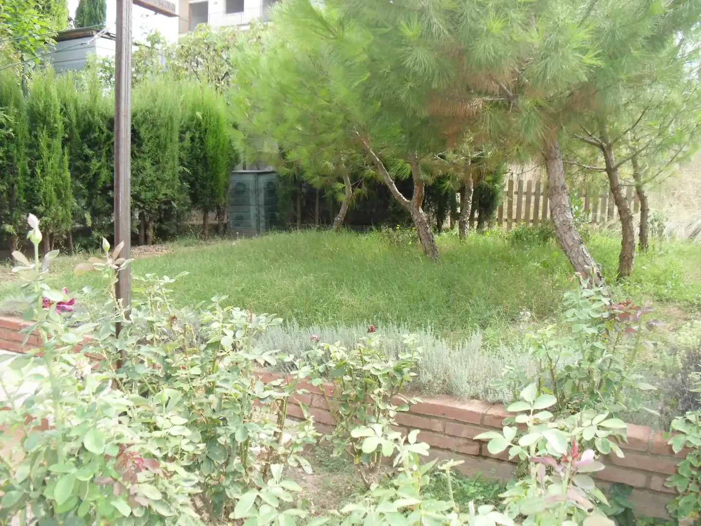 Jardí de Pis de lloguer en Artés