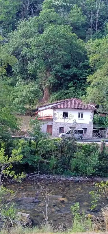 Vista exterior de Casa o chalet en venta en Proaza con Calefacción, Jardín privado y Terraza