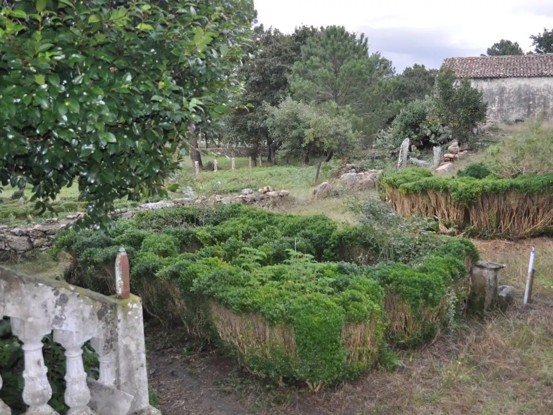 Terreno rustico in vendita a Rua Feal 0, imagen 20