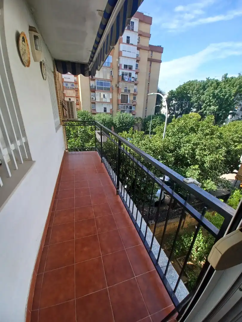Terrassa de Pis en venda en Triana