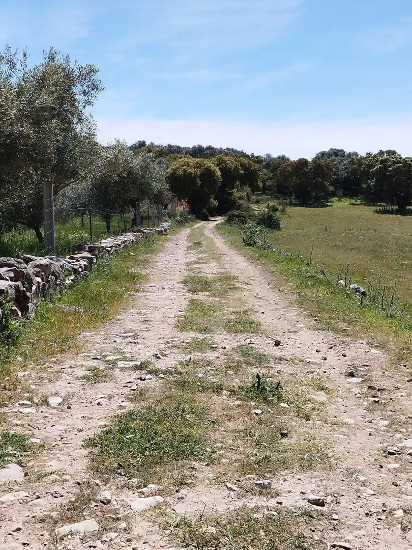 Terreni e lotti in vendita a 06430 Zalamea de la Serena, Spain, imagen 13