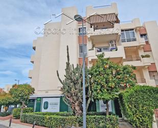 Vista exterior de Planta baixa de lloguer en El Puerto de Santa María