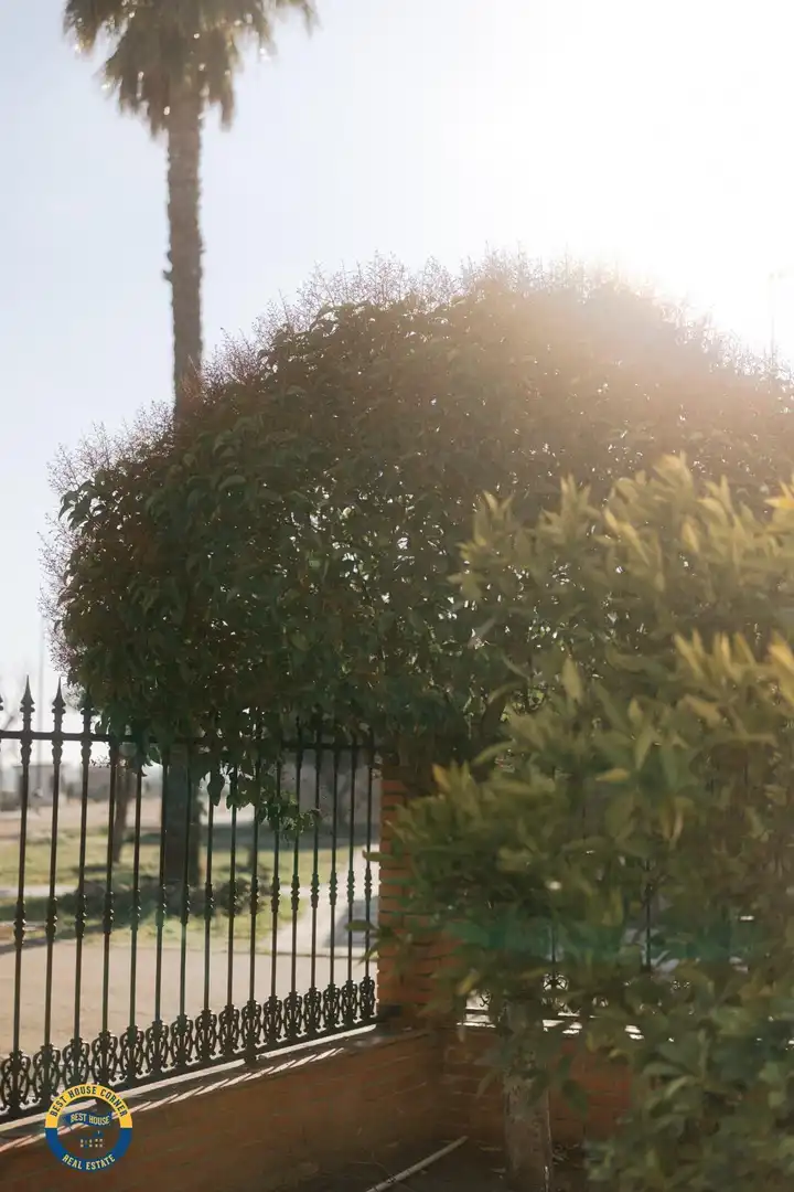 Jardín de Casa o chalet en venta en Don Benito con Aire acondicionado, Calefacción y Terraza
