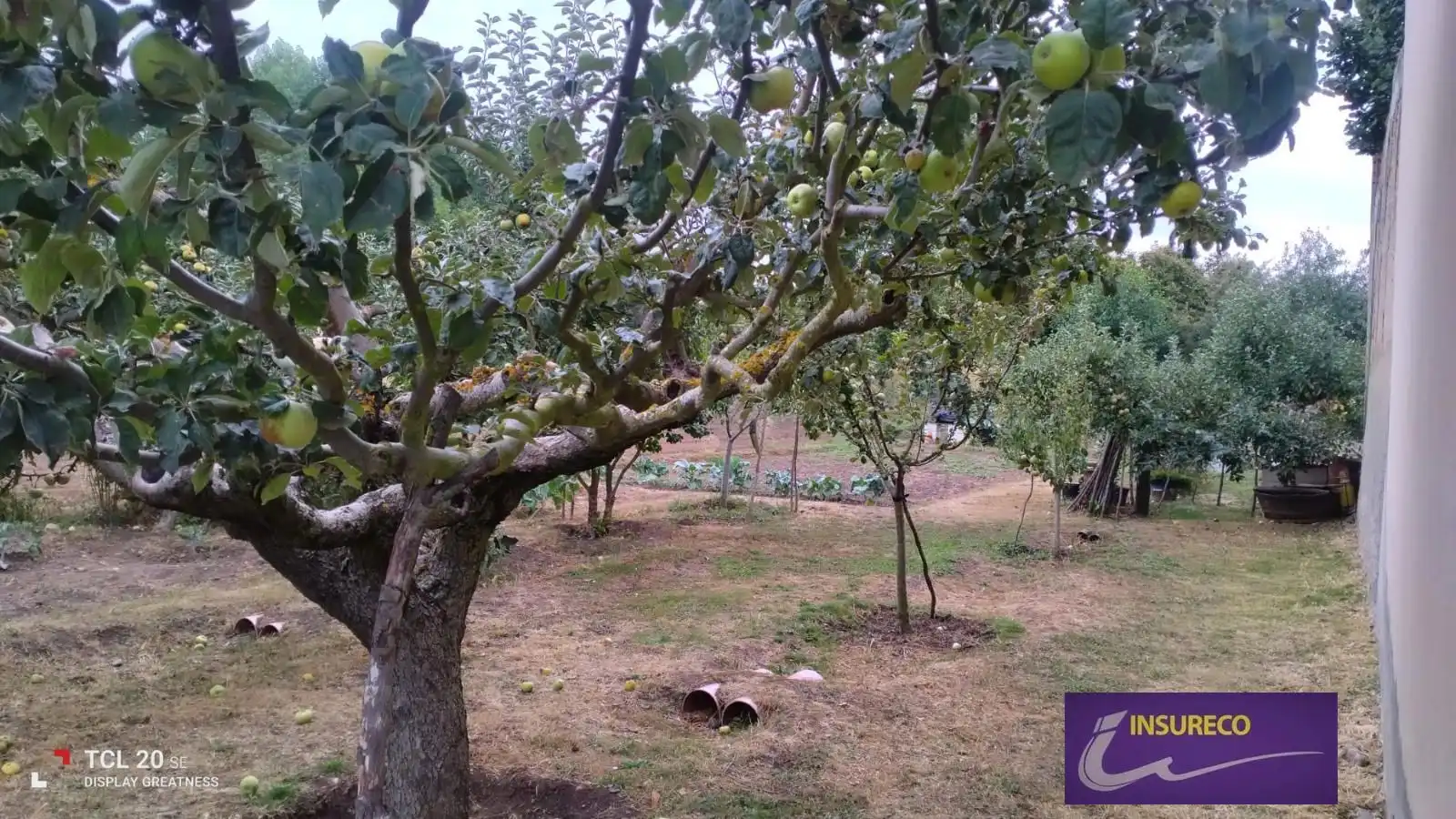 Rural land for sale in Sol-S Feliz Orb, imagen 12