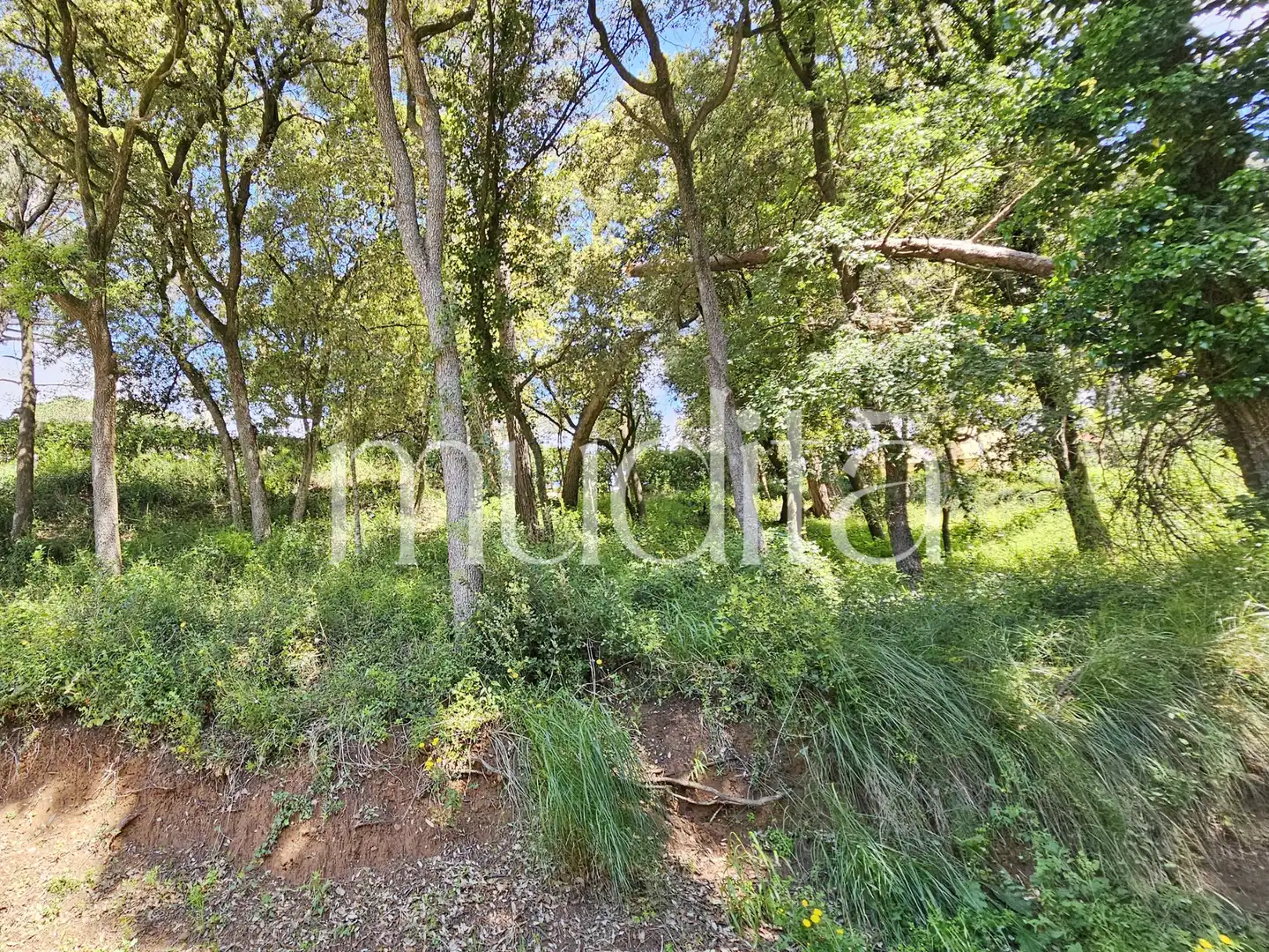 Residential land for sale in Sant Pere de Vilamajor, imagen 20