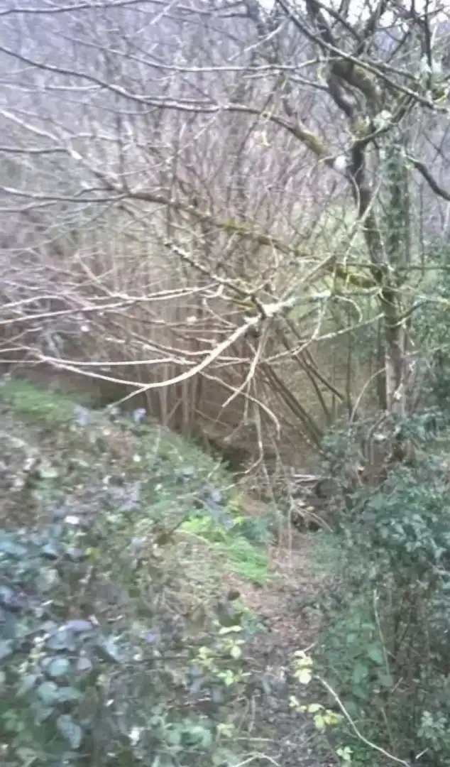 Terreni e lotti in vendita a Corvera de Toranzo, imagen 6