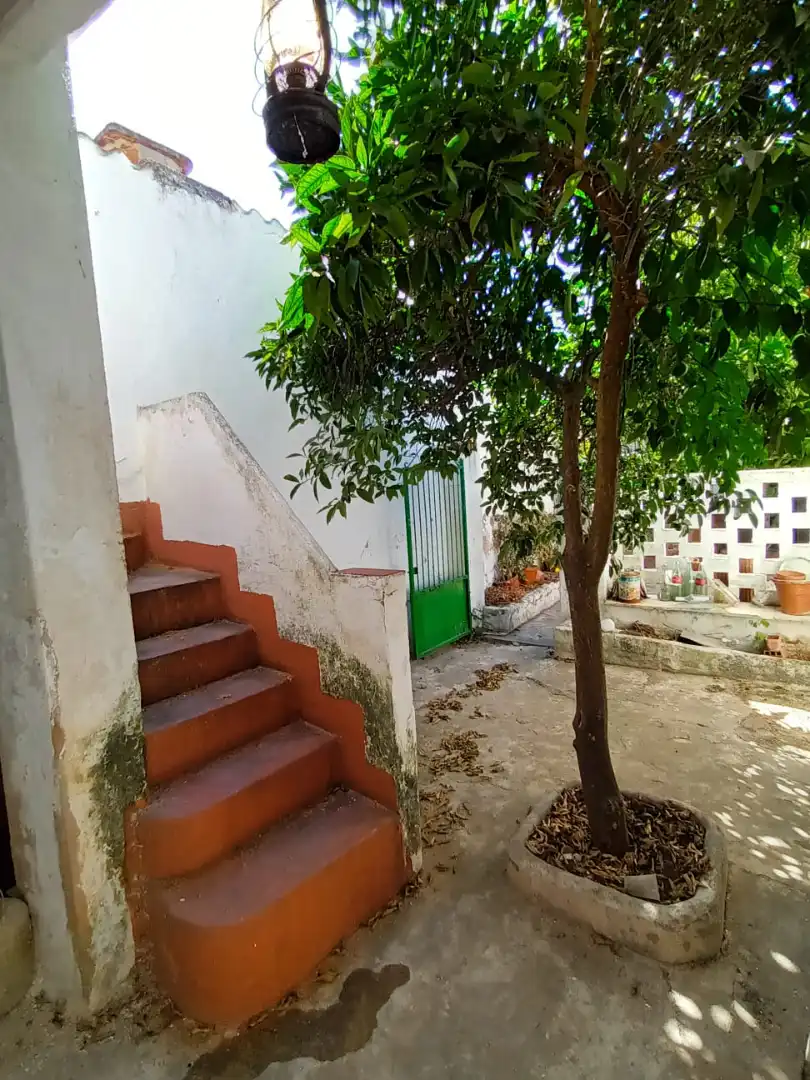 Casa o xalet en venda en Torremayor amb Terrassa i Traster