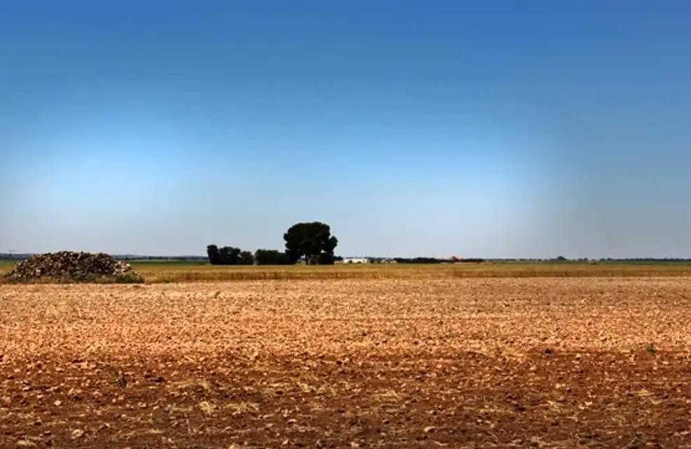 Terreny rústic en venda a La Roda, imagen 2