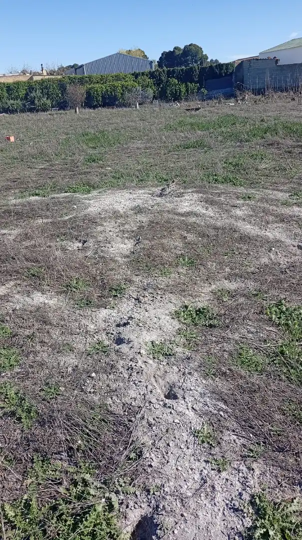 Terreno rustico in vendita a Pedanías - Extrarradio, imagen 3