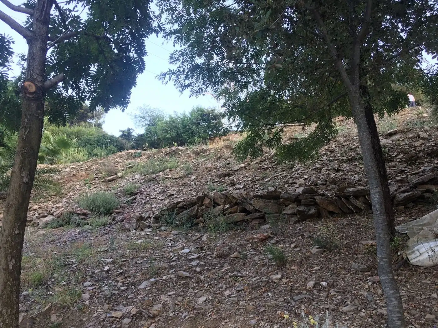 Terreny residencial en venda a Carrer de la Ginesta 42, imagen 9