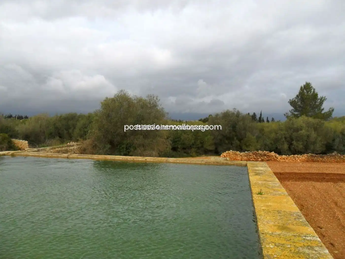 Piscina de Casa o chalet en venta en Inca