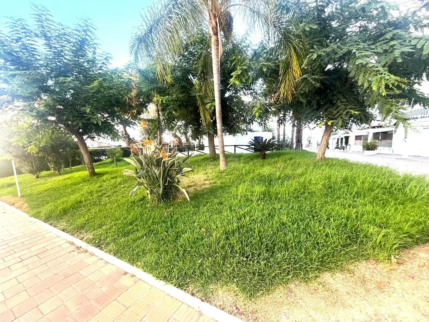 Erdgeschoss zum Verkauf in El Portil