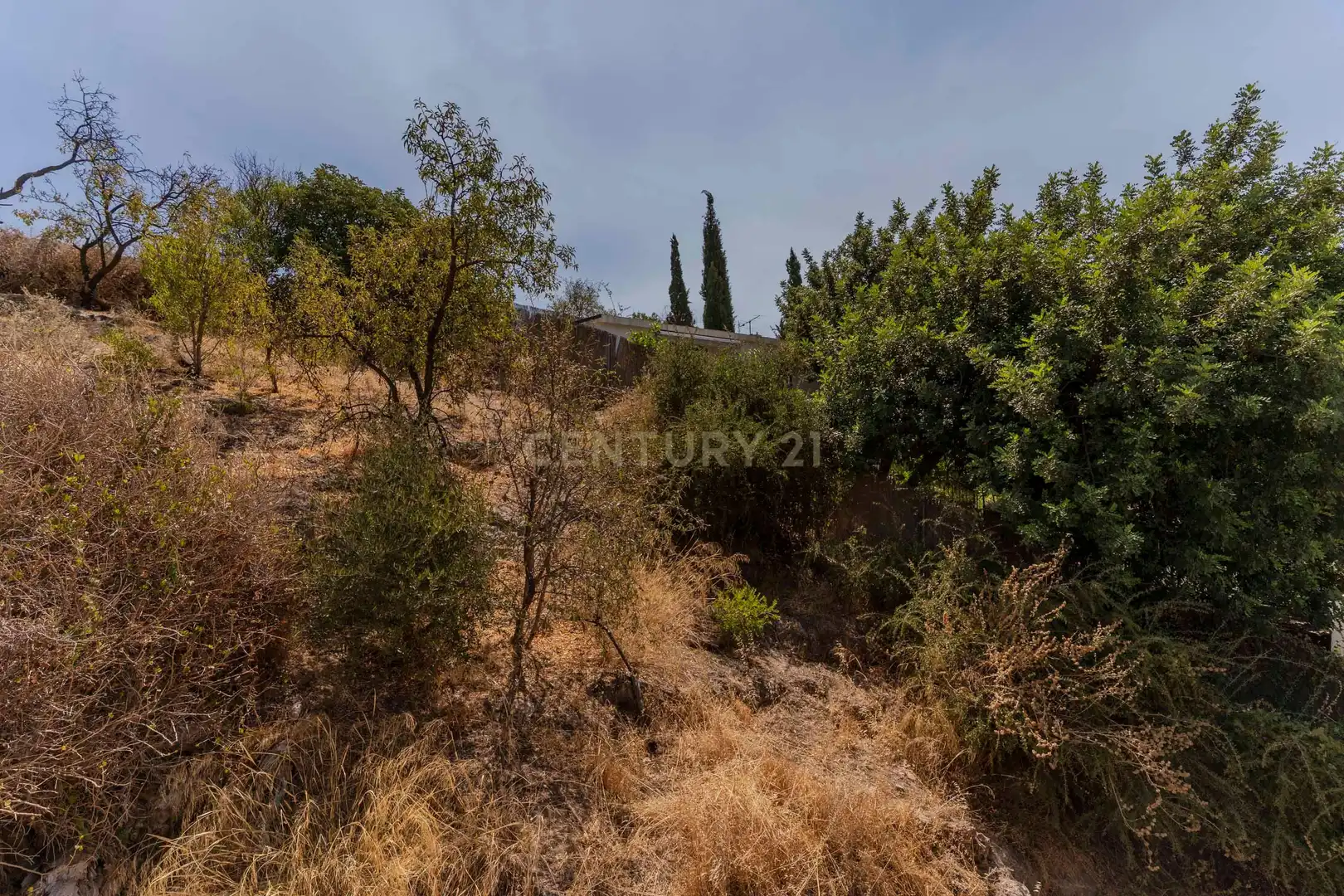 House for sale in Calle los Claveles, 10, Vélez de Benaudalla, Spain 10, imagen 24