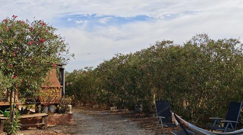 Photo 3 of Houses for sale in Algaida, Illes Balears