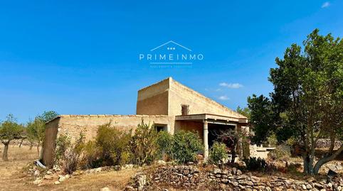 Foto 5 de Finca rústica en venta en El Perelló, Tarragona