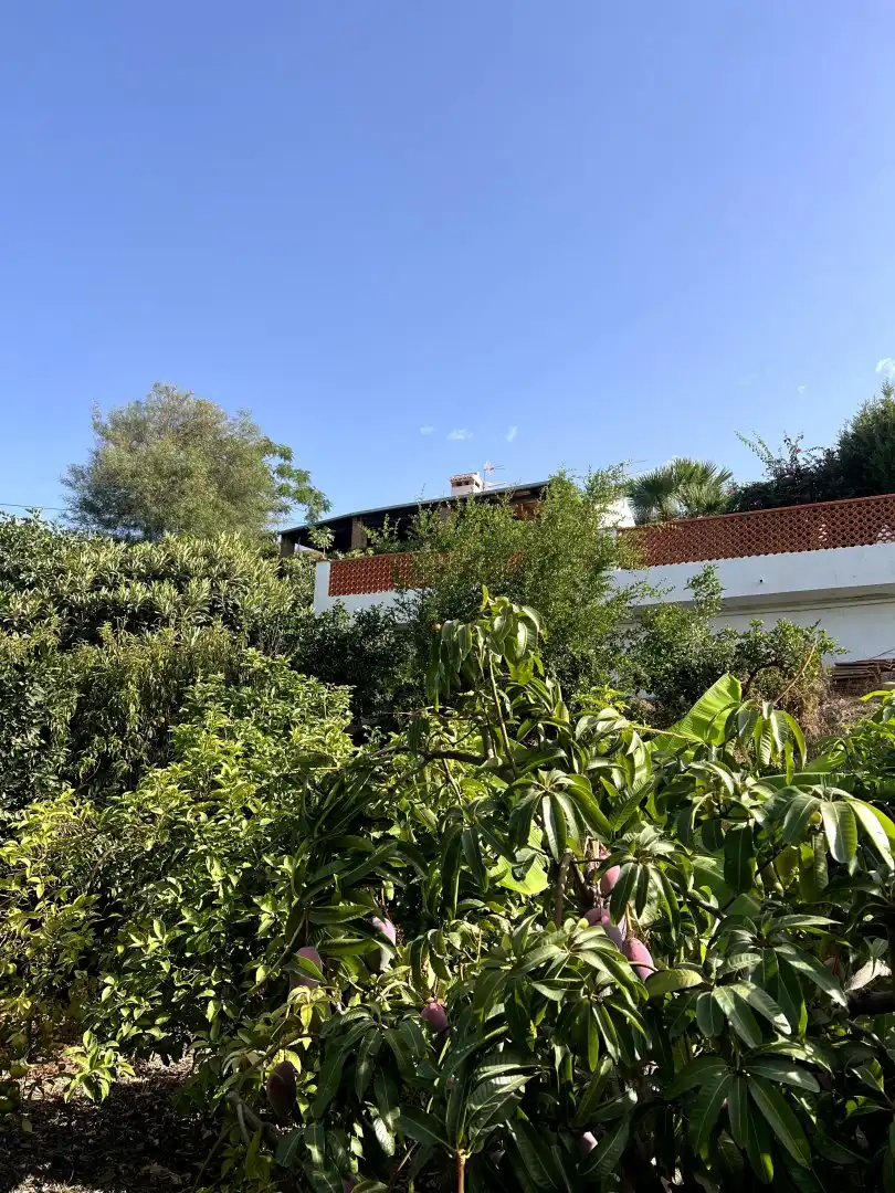 Casa rustica con piscina in vendita a Molvízar, imagen 52