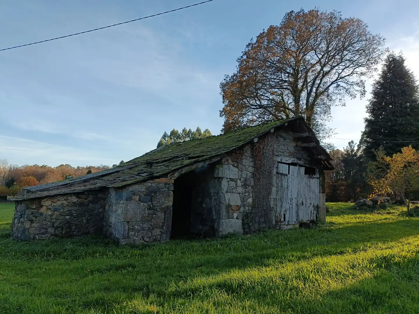 Vista exterior de Casa o xalet en venda en Guitiriz amb Jardí privat i Traster
