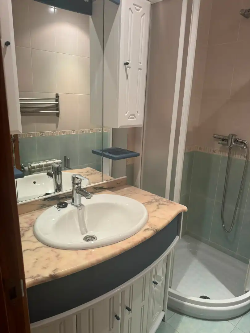 Bathroom of Flat for rent in Santiago de Compostela   with Parquet flooring, Furnished and Oven