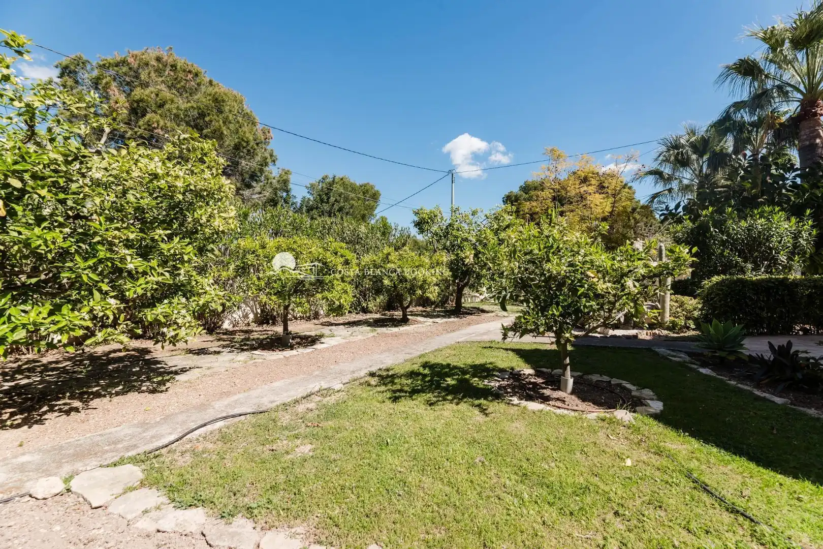Jardí de Casa o xalet en venda en L'Alfàs del Pi amb Aire condicionat, Calefacció i Jardí privat