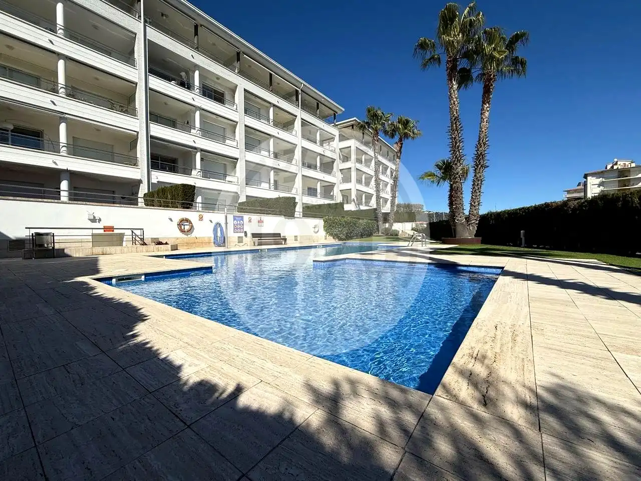 Appartement avec piscine à louer à PUNTA PRIMA, imagen 2
