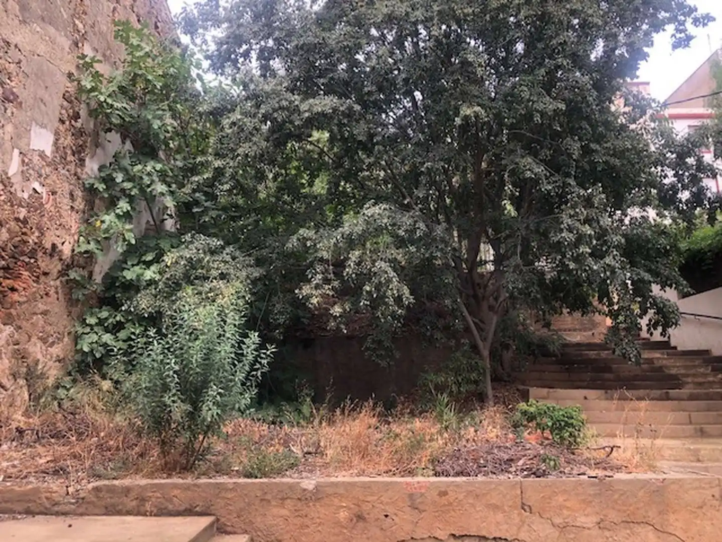 Residential land for sale in Lebrun 32, imagen 5